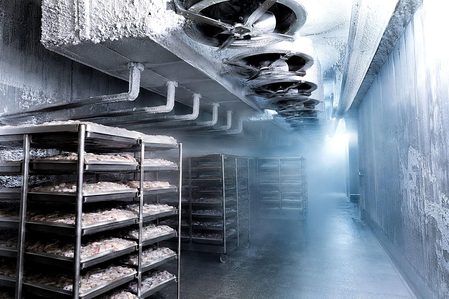 Blast Freezing Tunnel