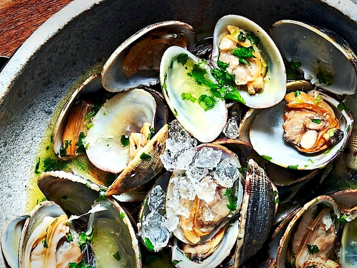 Clams