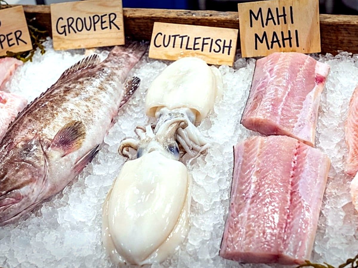 Fillets (Multi-Species)