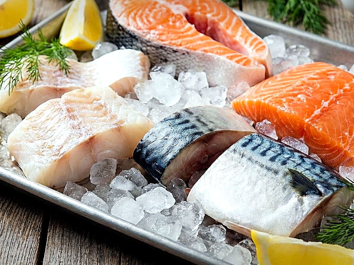 Fish Meal